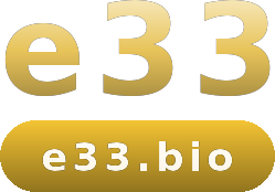 e33 logo